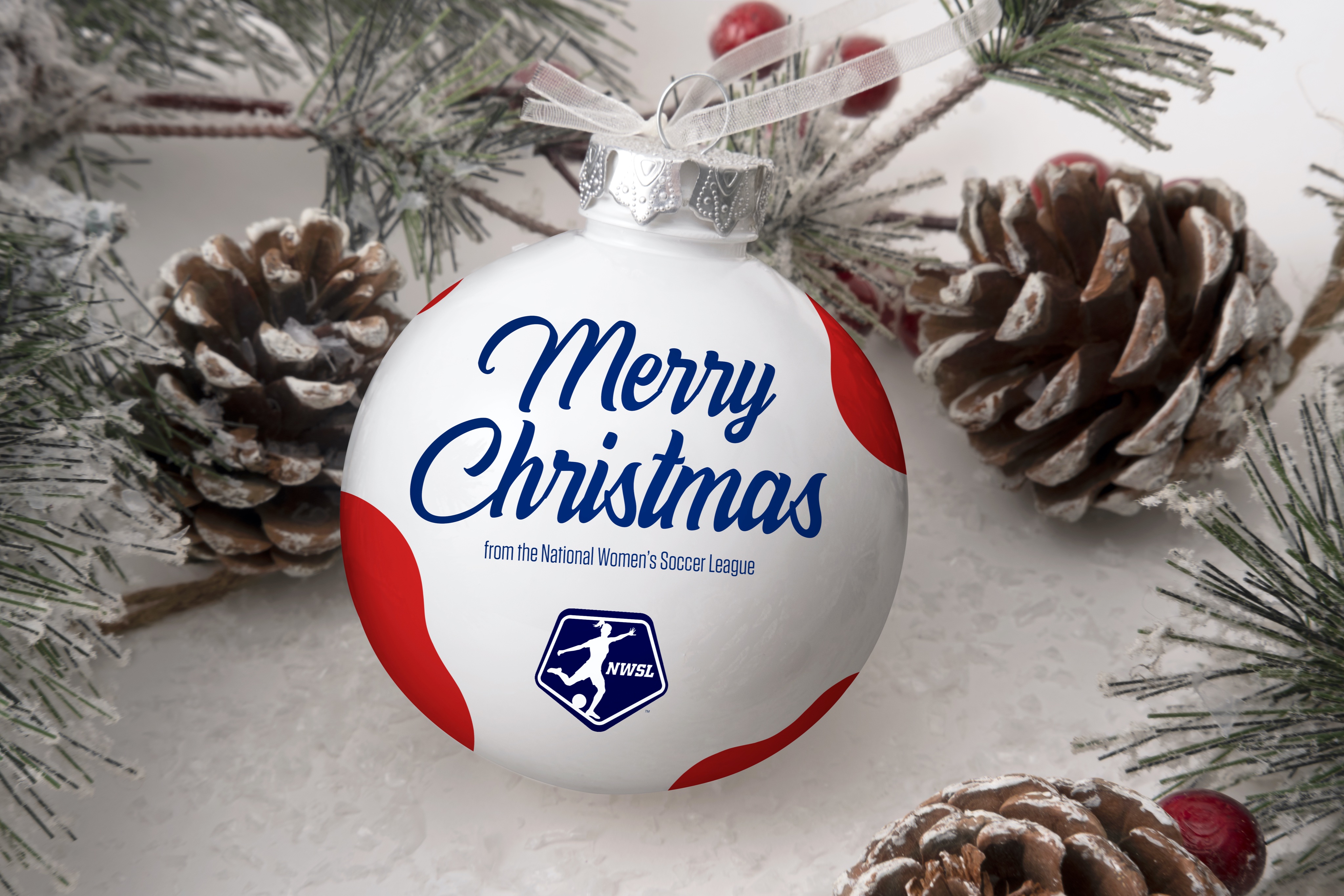 Wishing all our Dream League Soccer fans a very Merry Christmas, wherever  you are! 🎄, By Dream League Soccer