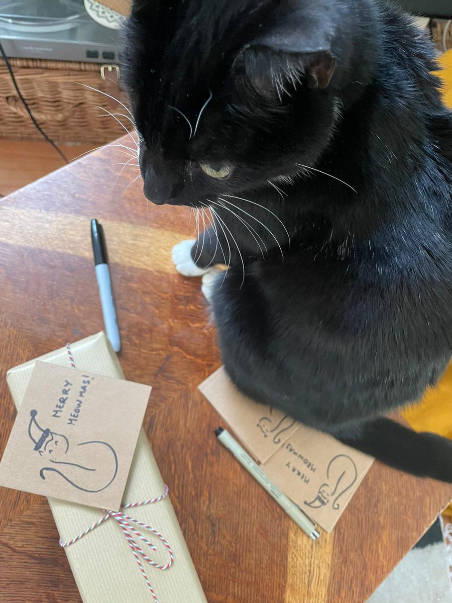 Bush_Cat_Pirate's tweet photo. been busy.. merry catmas 🎄✨ #catmas #theatrecats https://t.co/kM2XshIjef