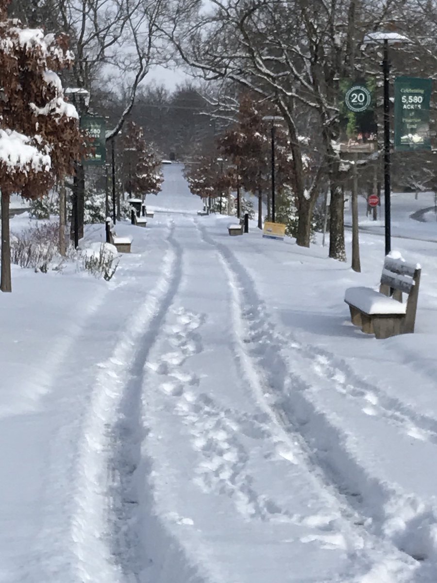 KenyonCollegeAD's tweet photo. A beautiful winter morning at Kenyon. Happy holidays! https://t.co/gTSNWwNEwr
