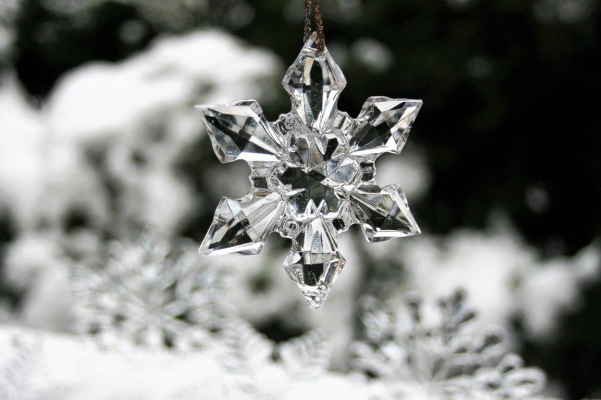 livorentals's tweet photo. On behalf of the Livo team, we hope your holidays are filled with magic and warmth! #happyholidays #livo #holidays #happyholidays2020 https://t.co/w5qKJnjYka