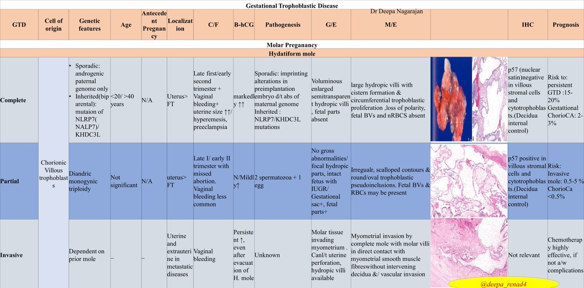 Deepa Nagarajan tweet media