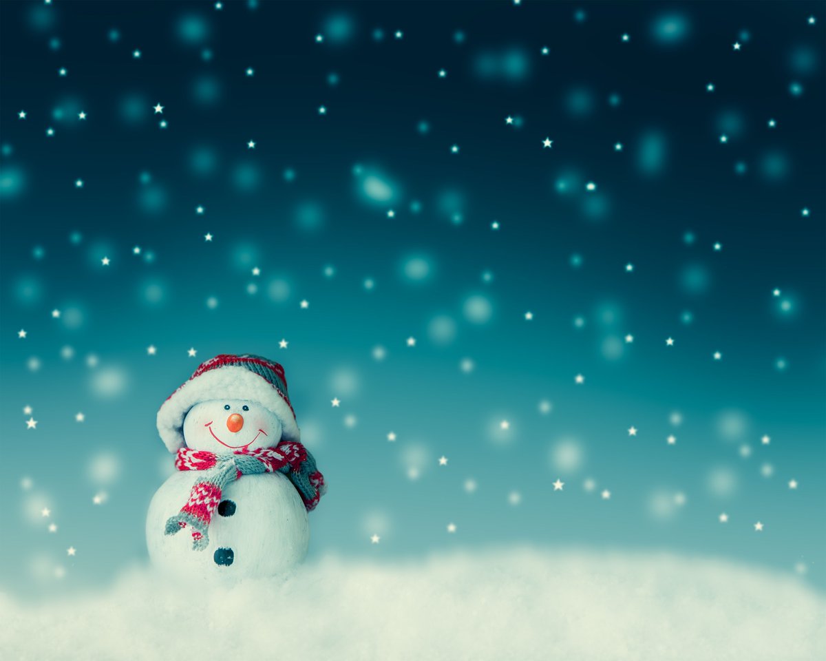 camp_rooster's tweet photo. Happy Holidays from CampRooster! https://t.co/qIwgaEms4Y