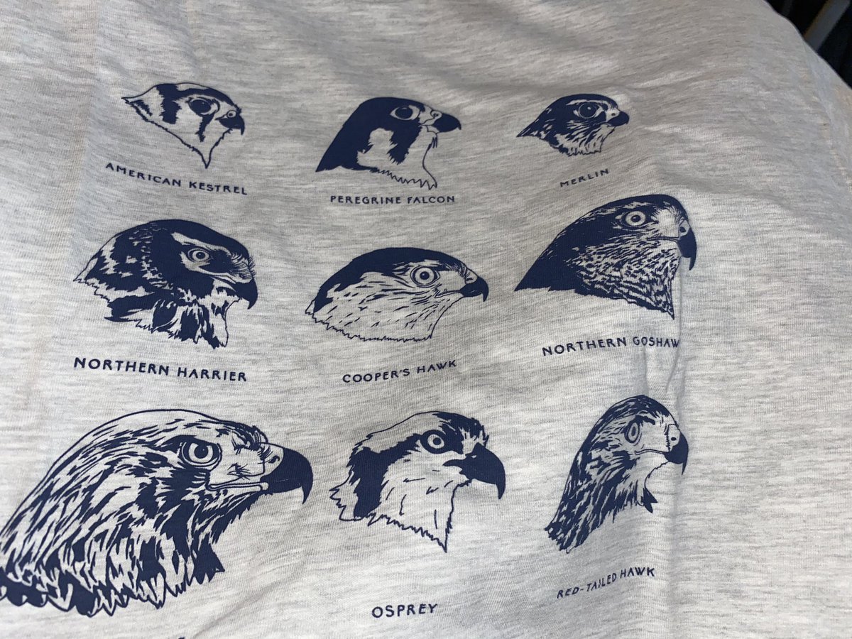 dana_marlane's tweet photo. love my new shirt from the @bird_collective ! ❤️ #withthebirds https://t.co/cJbjuLmgFe