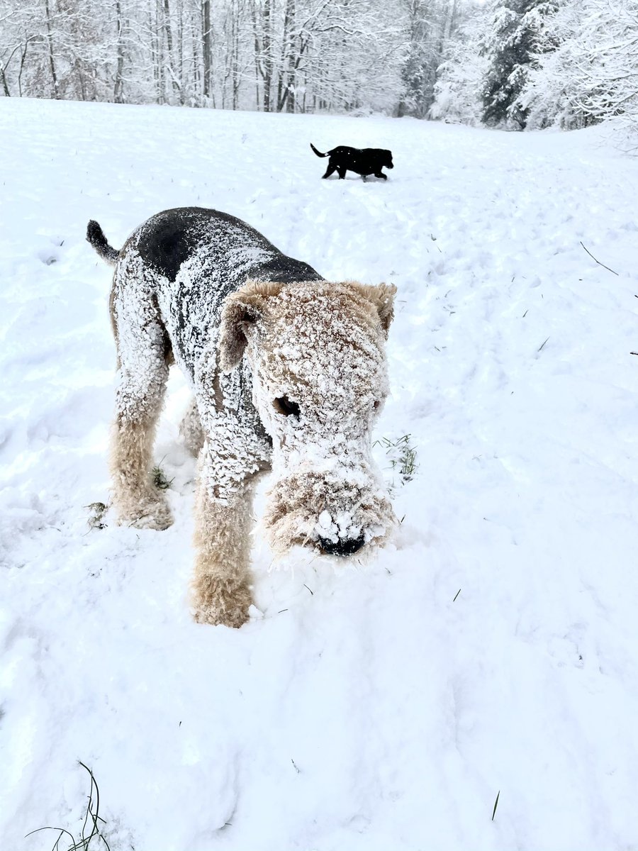 chaddynap's tweet image. Merry Christmas to all from the holler! #DayOfBirth