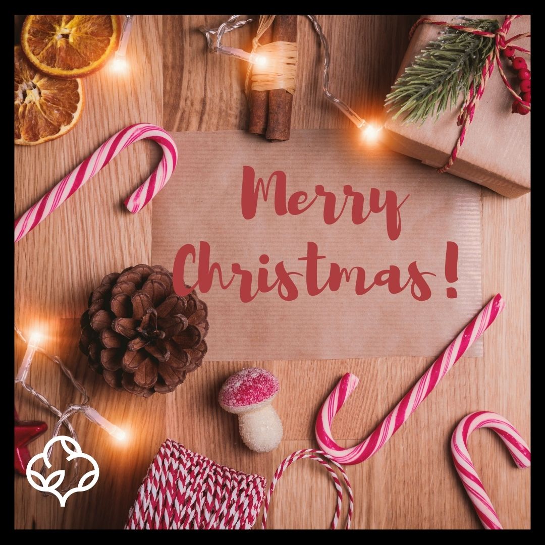 leavemarkapp's tweet photo. Merry Christmas! 🎄🦌☃️ https://t.co/3yrqoy0bew