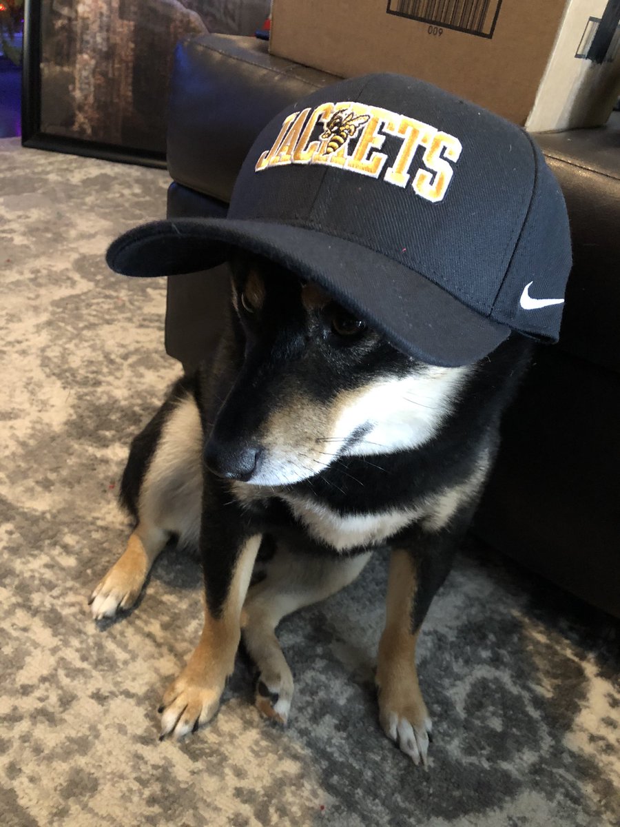 Aidan Lambert tweet media