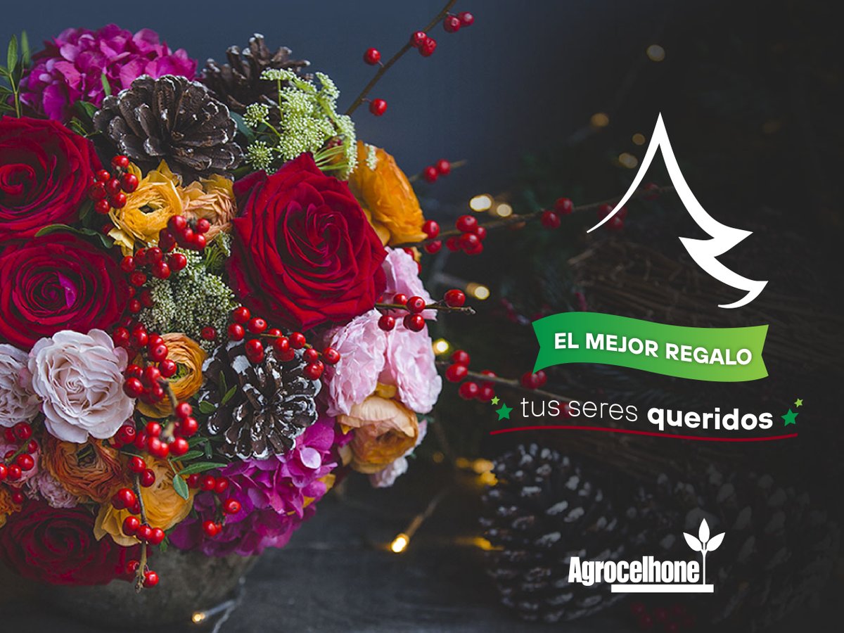 En este año que entendimos el verdadero valor de la felicidad y familia, el equipo #AgrocelhoneDelEcuador les desea las más felices y seguras fiestas. 🎄⭐