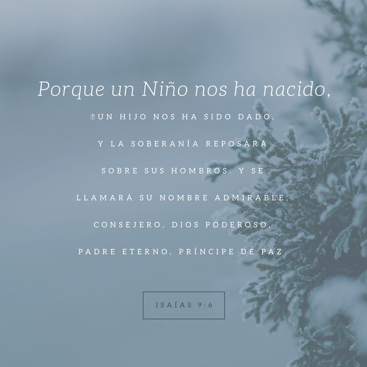 #NavidadDeAlegriaYPaz
en unión familiar sin olvidar cuidarnos✌😷
@jeanpiervera2 @NicolasMaduro @berkham4 @JuanMar72178590 @ElPavitoG @Danithiago1 @josevilla962 @sofiaymery @hidatriz @Ymorales1611 @EmanGomez4 @junepineda8 @Jhon11Silva @rafael_1981_198 @ivangator66