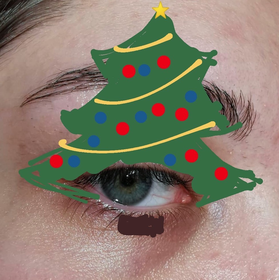 whatsonherface1's tweet photo. The concept vs. the look 🎄🌟❣️ https://t.co/BVjB5MZ8bh