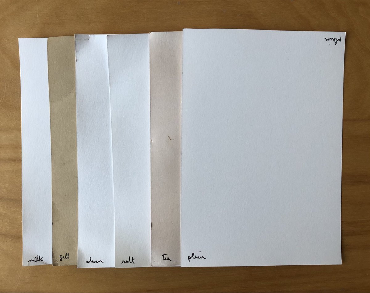 I’m using an acid-free paper that’s at the low end of the art range. I’m during a plain sheet and others I mordanted respectively with alum, salt, gallnut decoction, tea and soy milk (this last not an actual mordant but a binder).