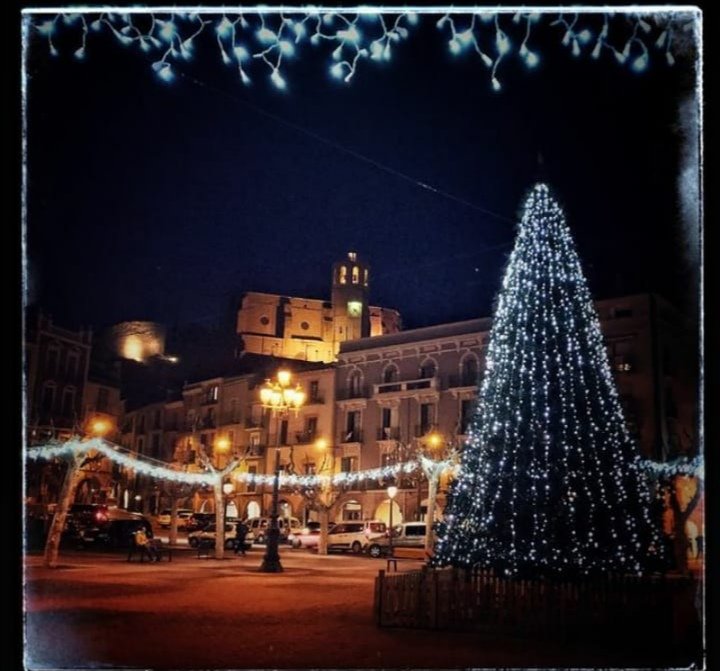 OrganisationCo's tweet image. Des de Balaguer, Tarragona, Alcover i Tortosa, els membres d&apos;@OrganisationCo us volem desitjar un bon Nadal i esperem que el pugueu celebrar de la millor manera possible.
BON NADAL A TOTHOM!!!🎄
#CompOrg20