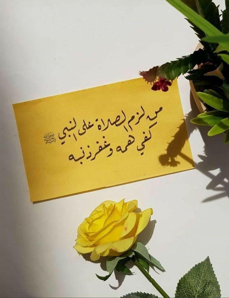 saranaseer33's tweet photo. @dr_ahmedmohd #الجمعه https://t.co/A51hPv8FsD