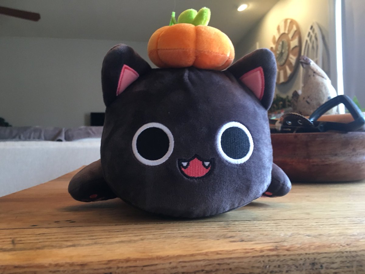 Starlight tweet media