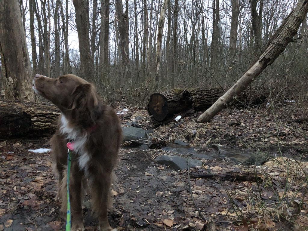 Edward Bradley tweet media