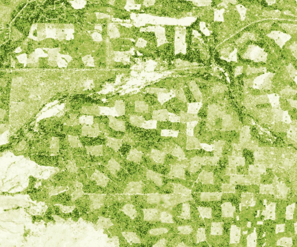 Do you know where your #ChristmasTree came from? Here is a collection of tree farms on the west slope of Lassen Peak, all at different stages of growth when this tree height data was collected in 2020. #ForestFriday

#HappyHolidays to all!
