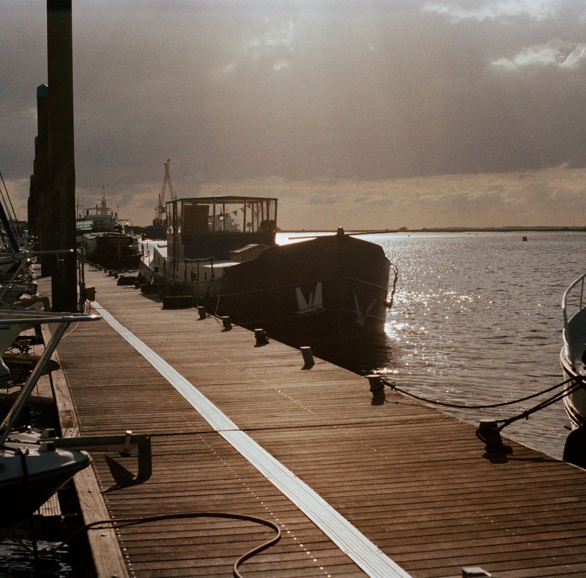 storyinframes's tweet photo. #kodakcolor200 on #35mmfilm
Good job on developing and scanning by @SilverPanLab
I highly recommend this lab to all #analog #photographers who r starting now https://t.co/Har3w6WoT6