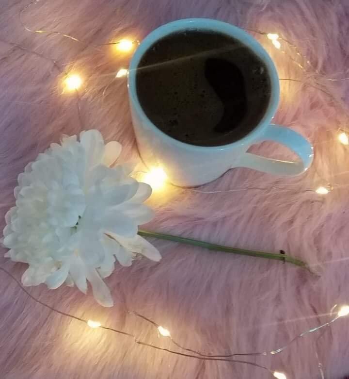 #معذور_قلبي

. ليتنا نستطيع أن نُخّبئ لحظاتنا الجميلة نجفهها كالورد ونحتفظ 
بها للأبد ..

.