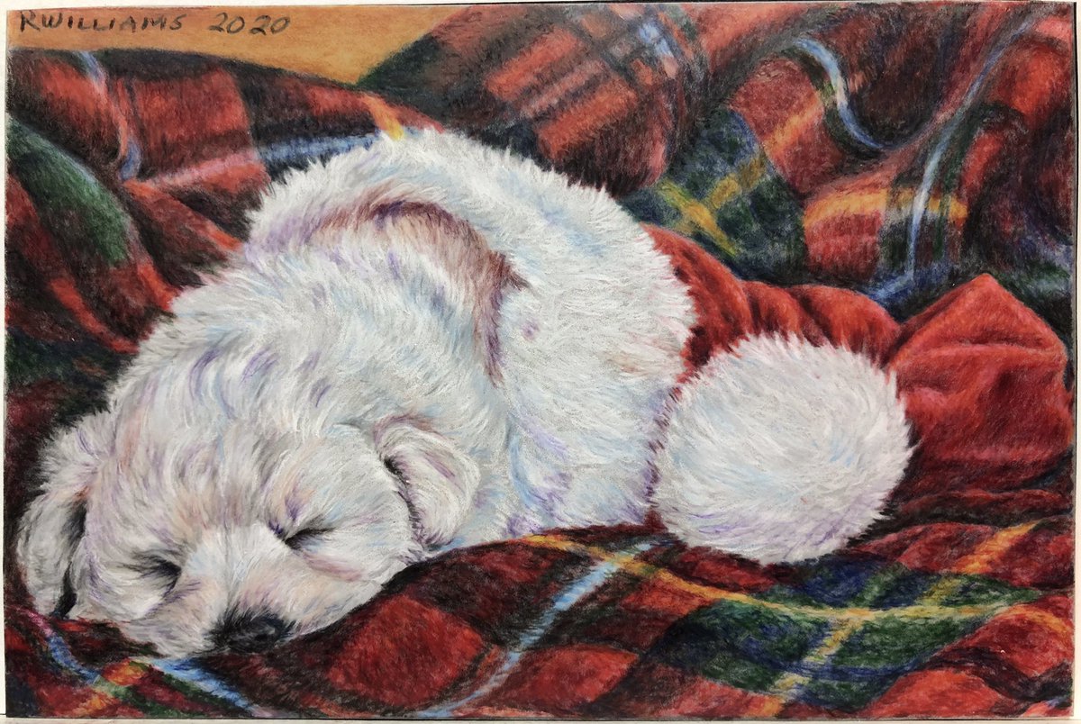 Have a peaceful Christmas!