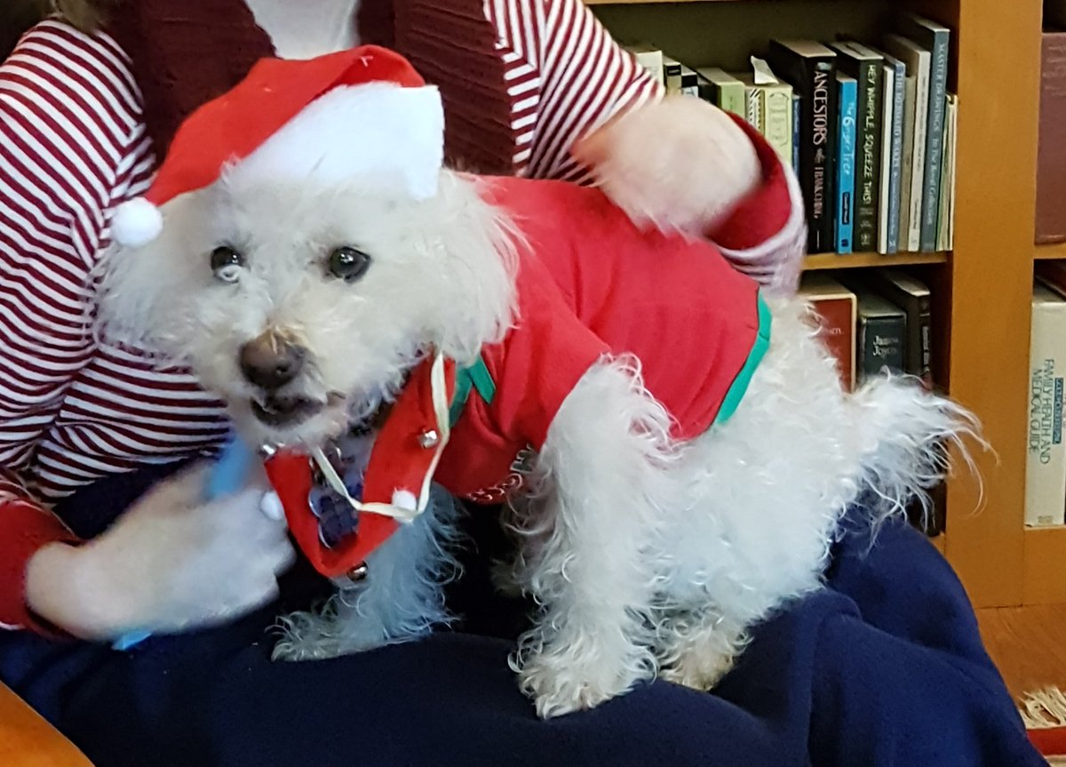 touchsquid's tweet photo. #MerryXmas #MerryChristmas https://t.co/9mVBgus4Em