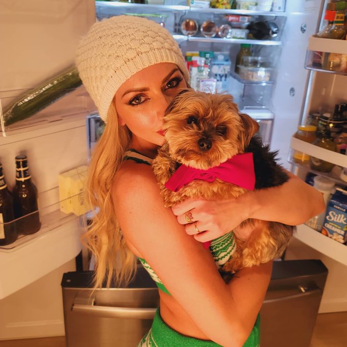 Merry Christmas ya filthy animals https://t.co/wC5mGnJCHm