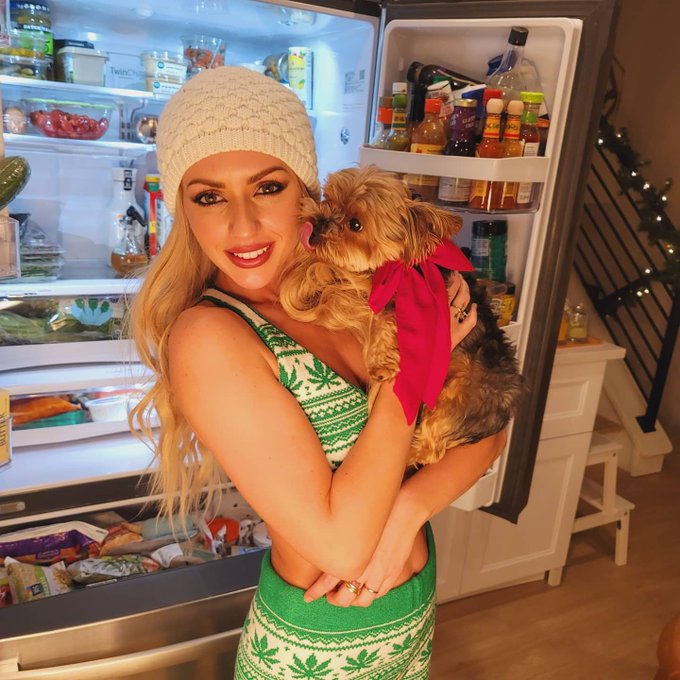 Merry Christmas ya filthy animals https://t.co/wC5mGnJCHm