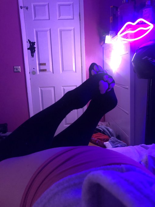I’m a catboi! :3 https://t.co/2mtSOwzWL2