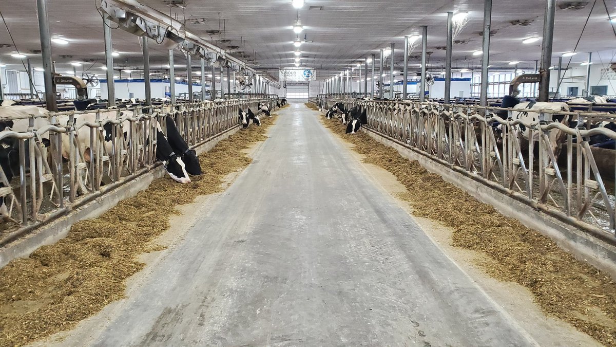 MERRY CHRISTMAS EVERYONE from BFL!