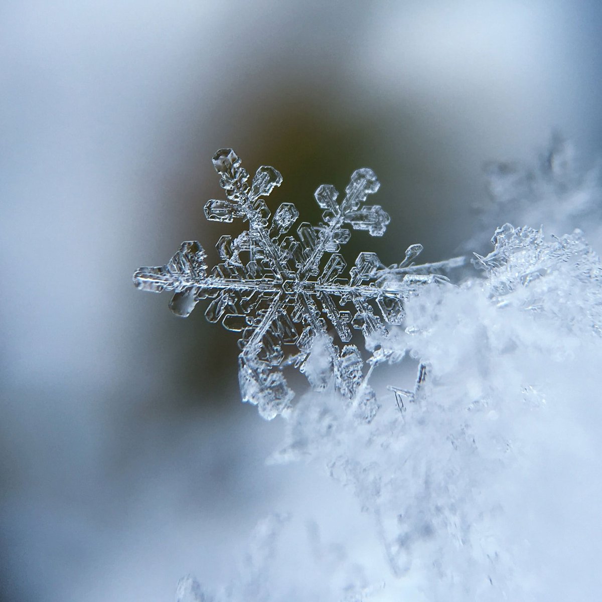 Merry Christmas and Happy Holidays!