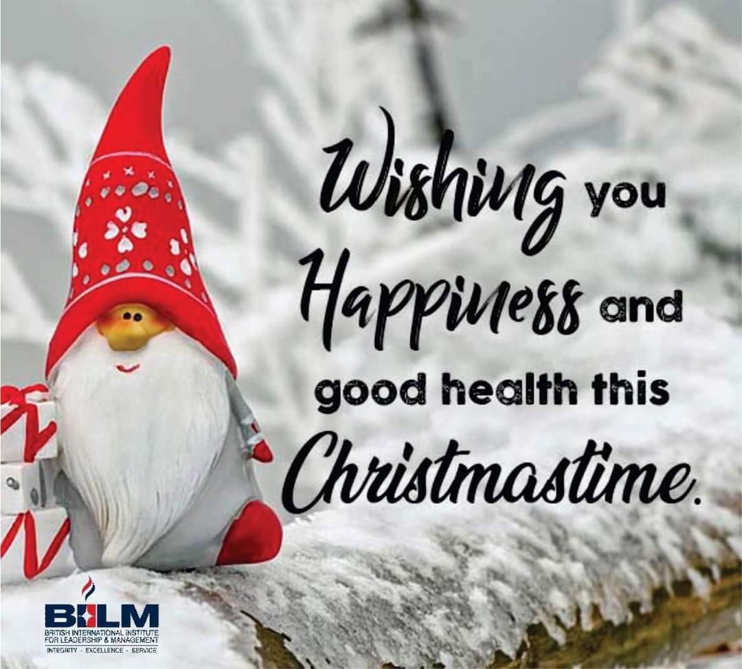 BIILM5's tweet photo. British International Institute for Leadership &amp; Management - BIILM @BIILM5 is wishing you Happiness and good health this Yuletide.

May the new year bring new opportunities for you.

#BIILM #Christmas #Yuletide https://t.co/abje3sj24l