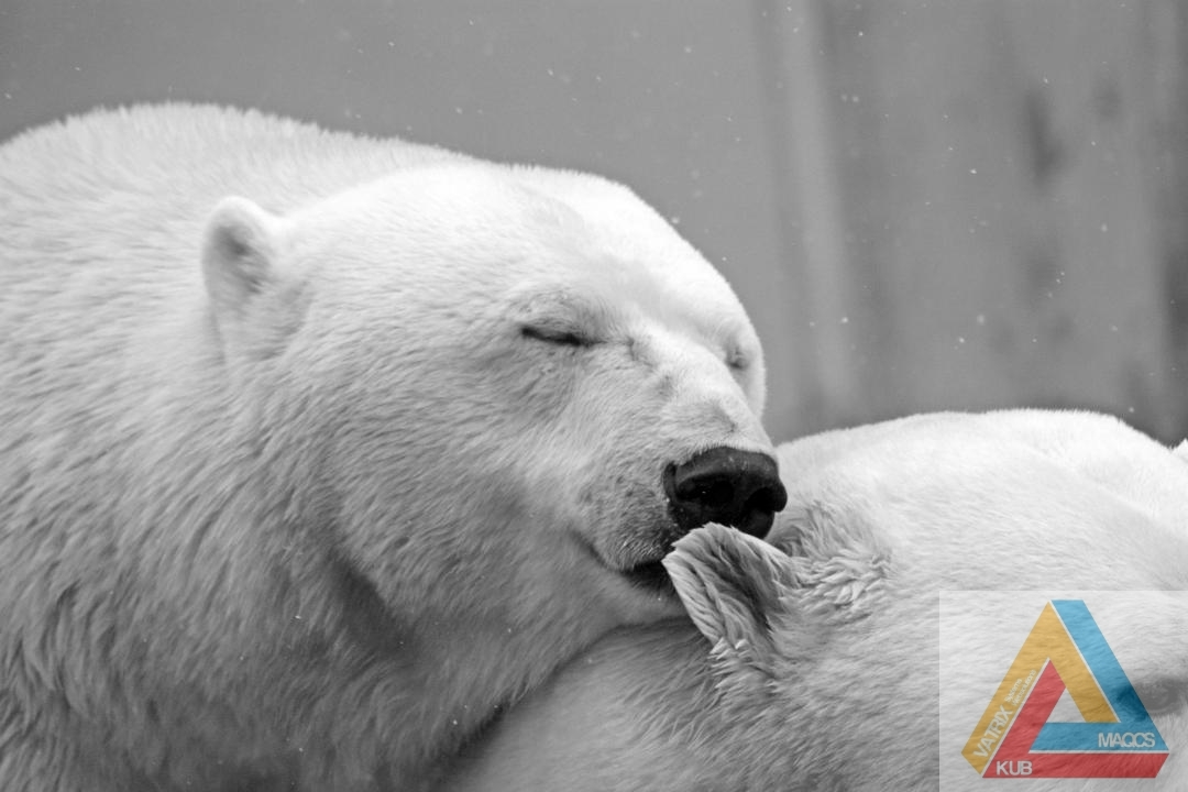 Perfekte Positionierung in 30 Minuten 
In diesem Kurs lernst Du als Teilnehmer, wie Du Dich schnell und leicht 
in Deinem Markt als Experte/Expertin im Internet positionierst. sopo.live/DHSIhg