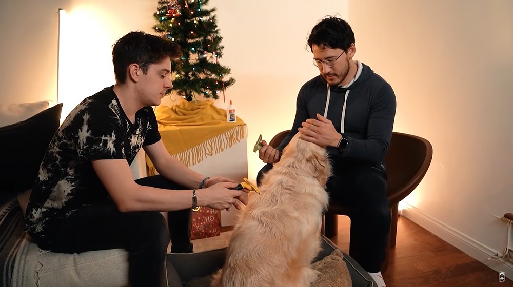 PostUnumAnnum's tweet photo. December 25th 324:12:00:00
Unus Annus posted "Forcibly Turning Mark Into Santa Claus Against His Will"
Merry Christmas to all who celebrate, and have a great day anyways to all of you.
#UnusAnnus #markiplier #crankgameplays #Markicember https://t.co/poNhIBgq5K