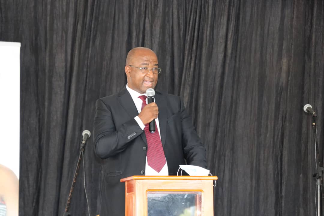 PHILIP MNISI visual data 3