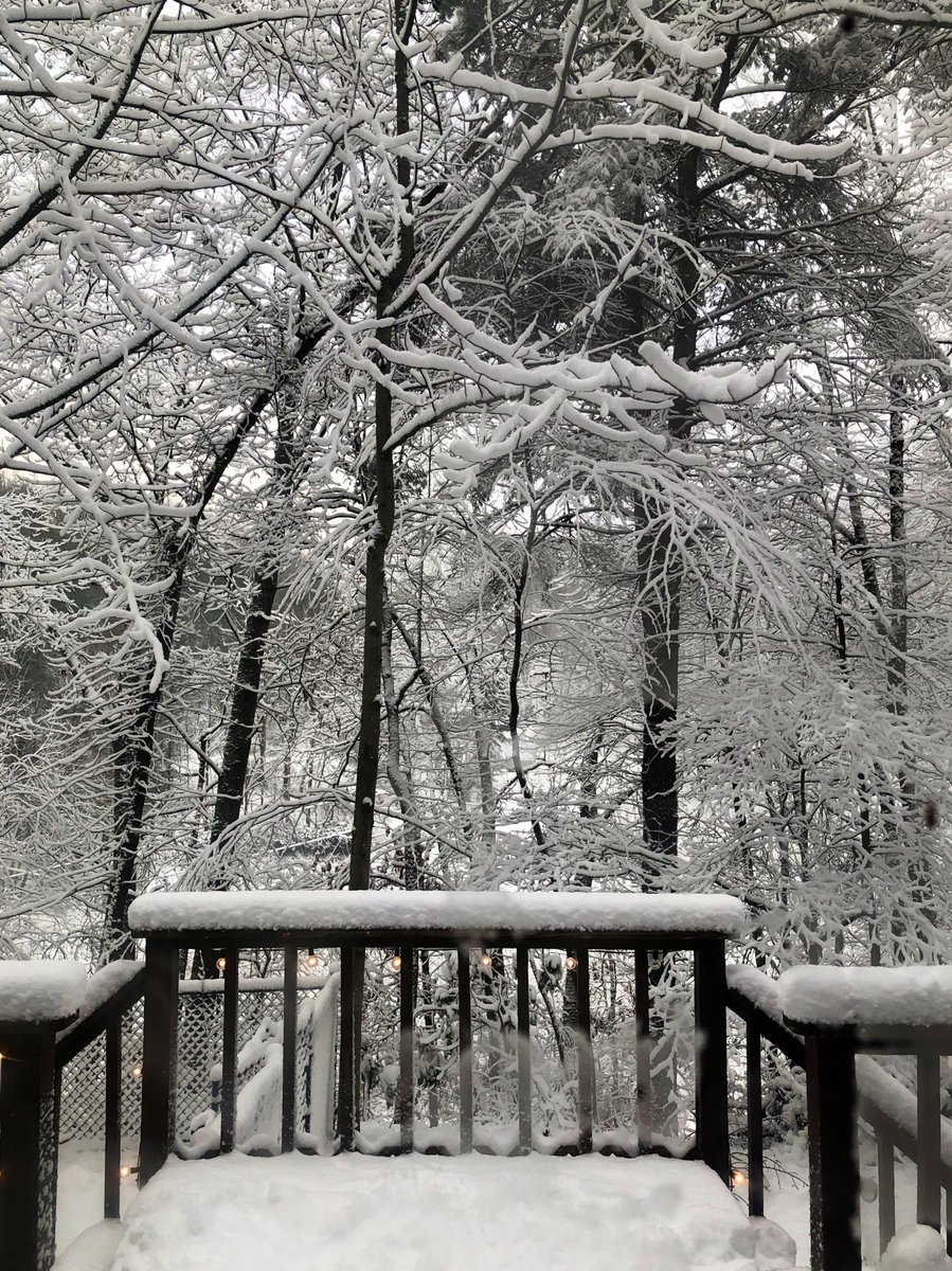 KarryKassi's tweet image. I live in a pretty amazing place.. #greatsmokymountains