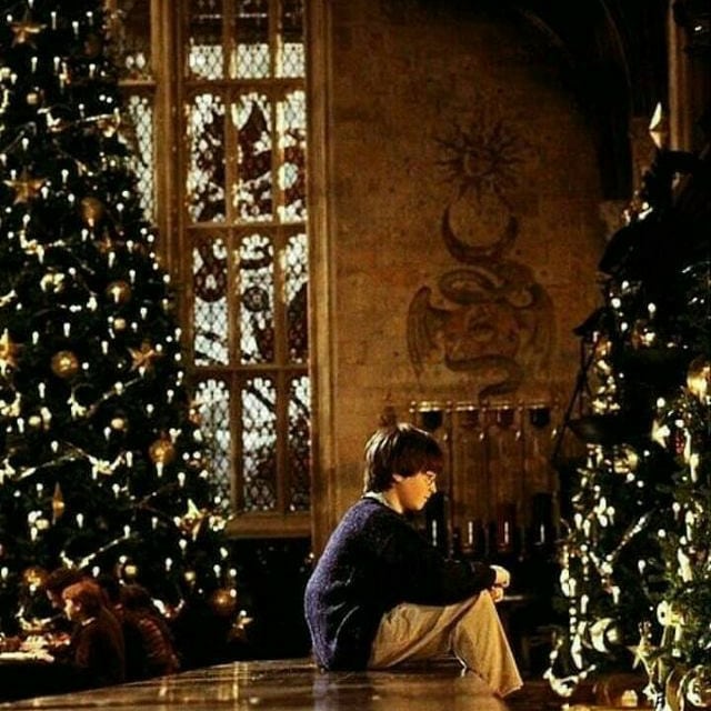 HPfanHP's tweet photo. #HarryPotter #hogwarts #MerryChristmas2020 #HogwartsMysteryChristmas #HogwartsMystery  #HermioneGranger #ron #dracomalfoy #Magic  #harrypotterfan #harrypotterchristmas #lovepotter #potterhead #Christmas #harrypotterphotos #harrypottervideos #hpfan #HARRY https://t.co/N3hKPn2jSJ