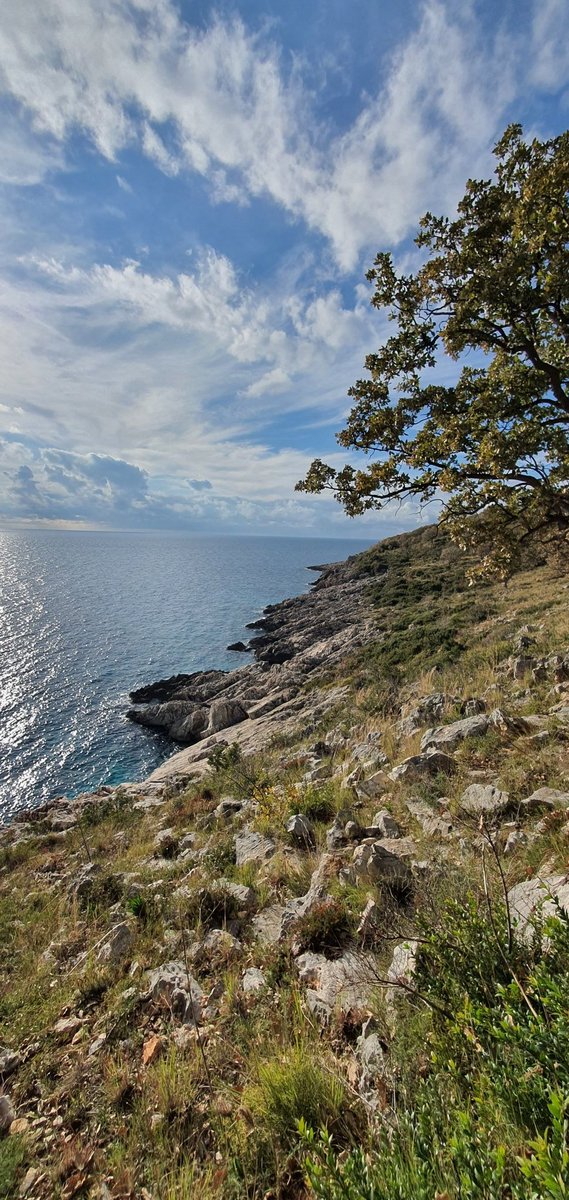 LorelaLazaj's tweet photo. Si askund tjetër, vetëm në planetin Tokë 😊!
📍Gjiri i Shën Andre, Parku Natyror i Karaburun.
----------
Like nowhere else, only on Planet Earth 😊!
Shën Andre Bay, Karaburun Natural Park.
#adzmvlore #rapavlore #albaniaprotectedareas https://t.co/lEoy88dZEj