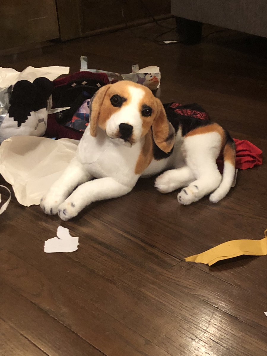 goodboilessons's tweet photo. Merry Christmas friendos! My hooman got a stuffed beagle! It look like me!!! #beagle #boopmynose #DogsofTwittter https://t.co/efTiXCQloe