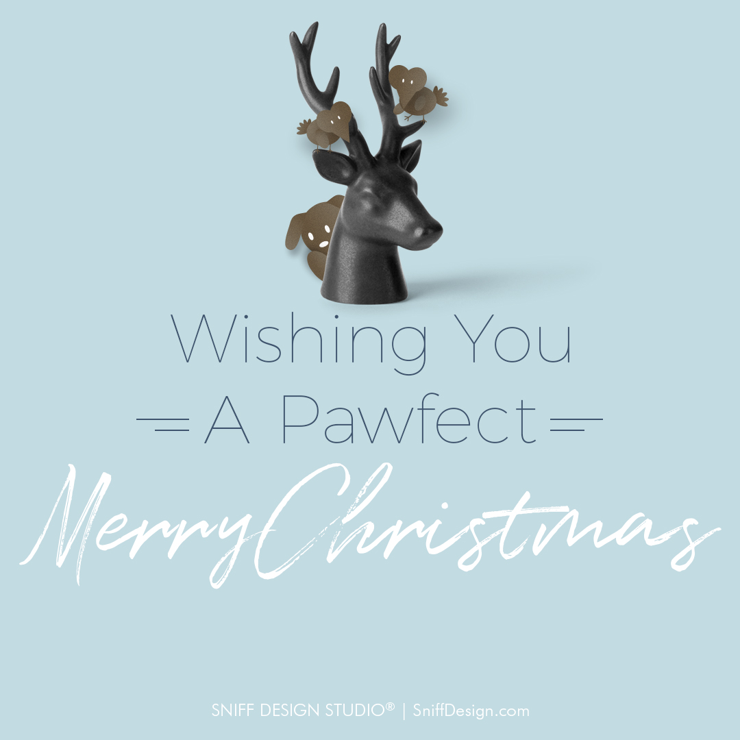 🎄✨A Pawfect Christmas⁣
To all fellow fur friends, family, and futures. Wishing you a beautiful, charming, and pawfect Merry Christmas.⁣ ⁣#merrywoofmas #thepawlidays #christmas2020 #happypawlidays #petpreneur #petpreneurs #sniffdesignstudio #petbranding #petbrandingagency