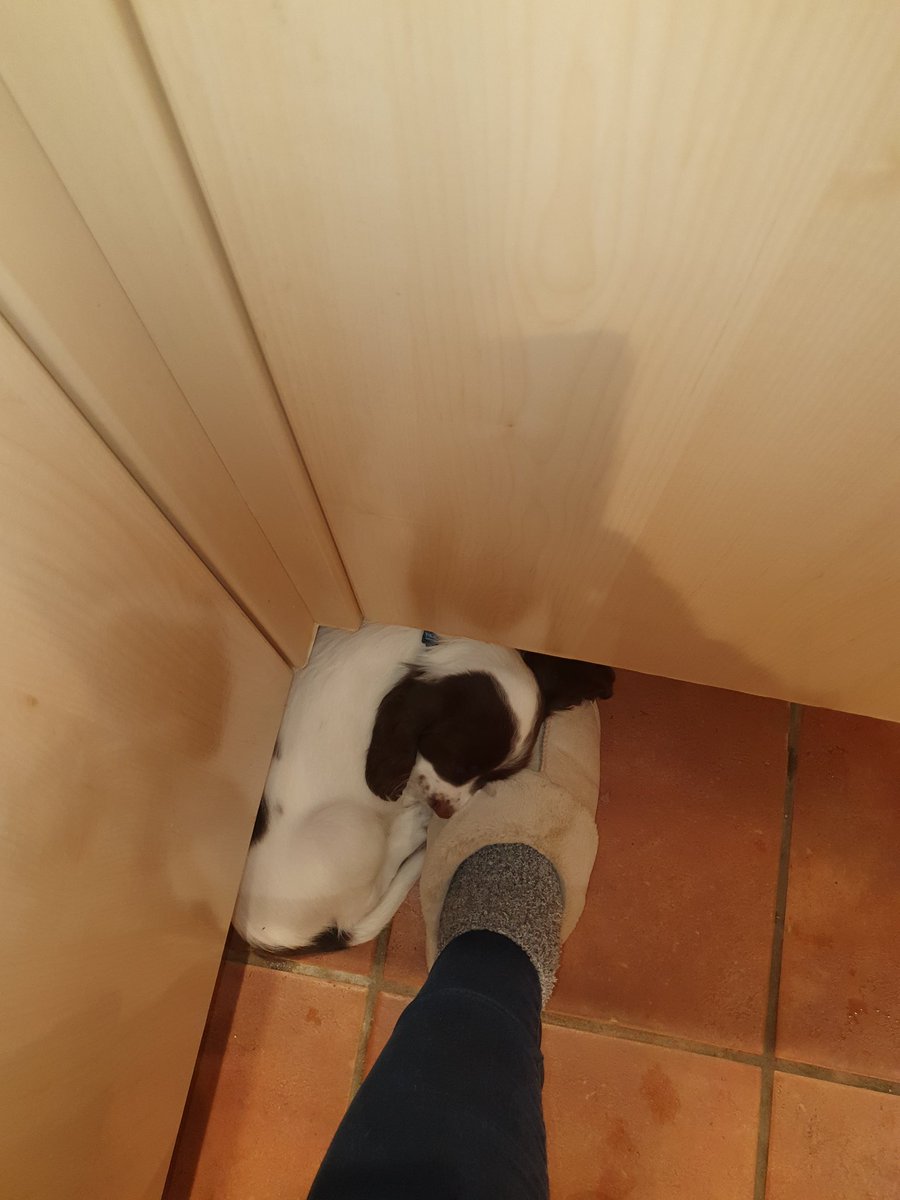 Dishwashing completed. Send help. I'm stuck