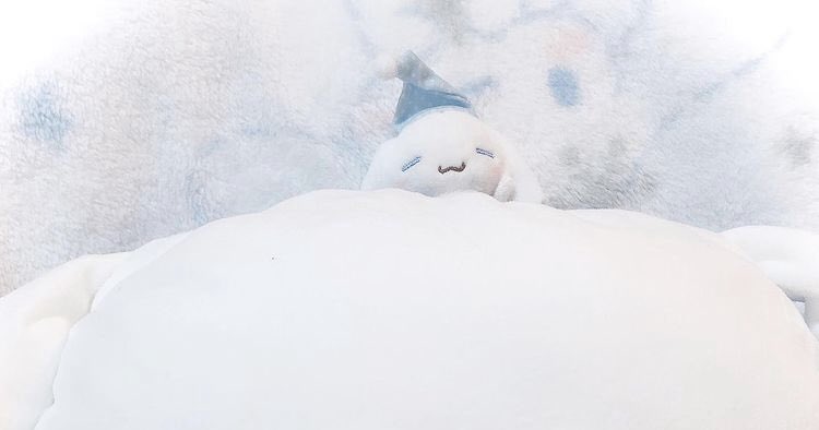 santa brought many gifts to me for the holiday . i even got a kitten which i will take super good care of and love every single day . i named the kitten milkpaws