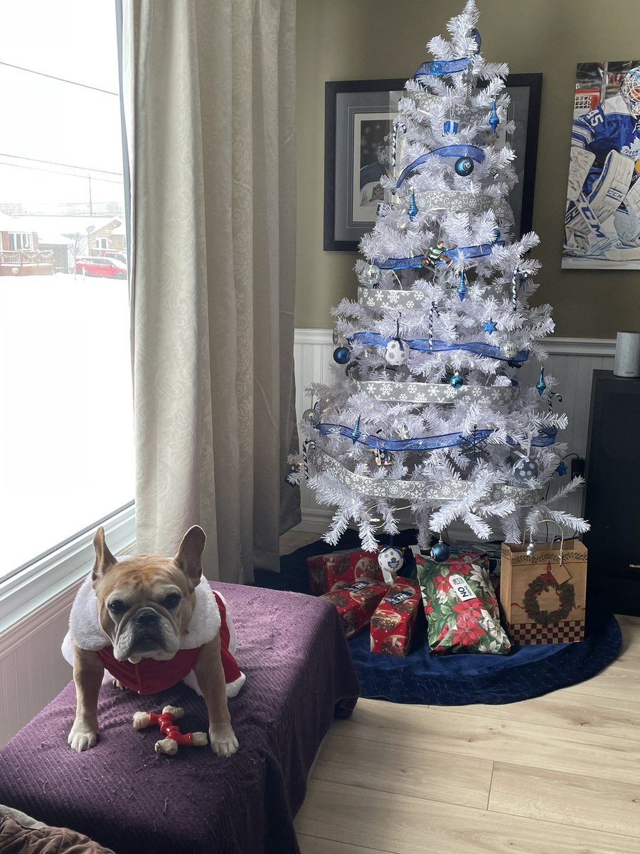 Ecocrush's tweet image. Merry Christmas!