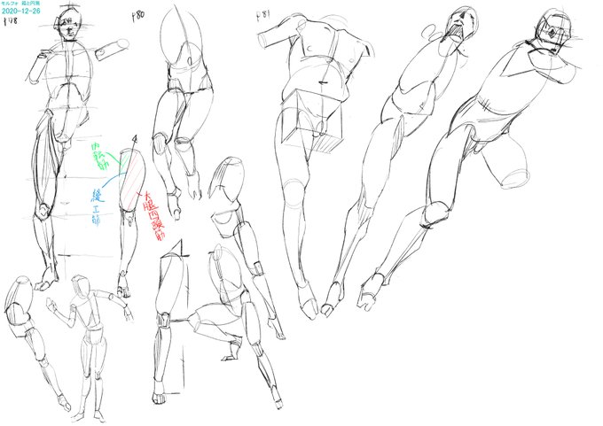 30+2m
最終パート下肢ですね
縫工筋は名前知らなかったけど勉強してなくても意識して描いてるような目立つ筋肉ですな
#2020年12月27日 