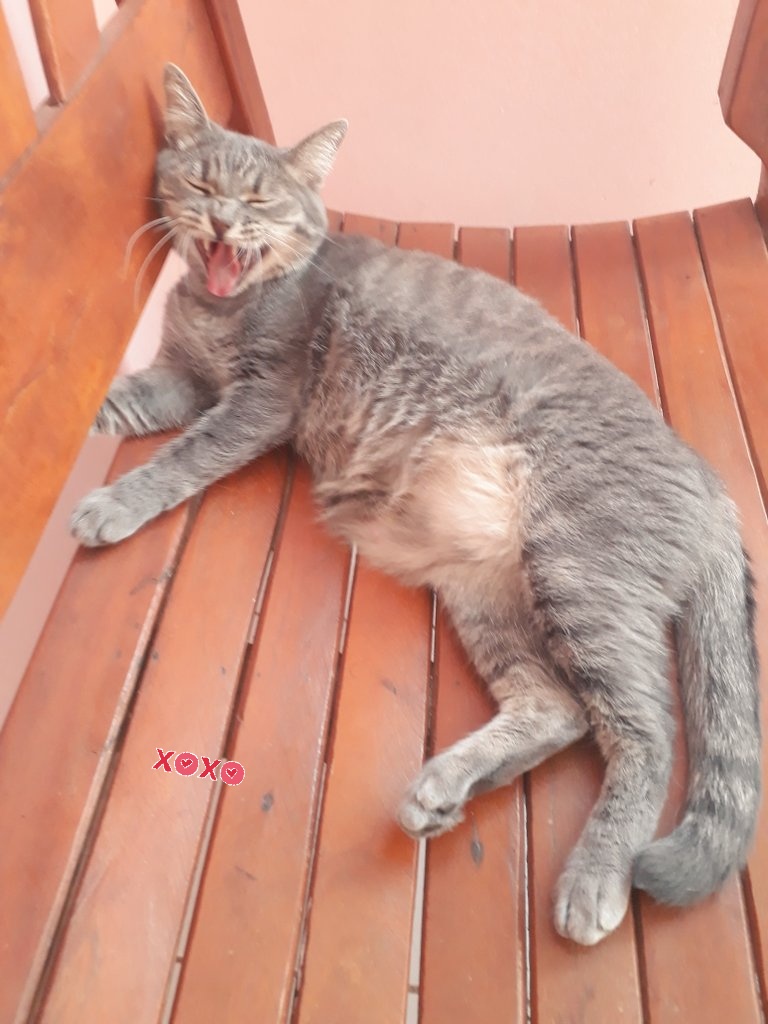 Depois da ceia de Natal BB.....