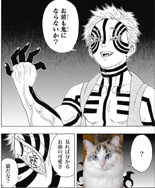 お前も鬼にならないか と問われた猫の反応に斃れゆく隊士たち Togetter