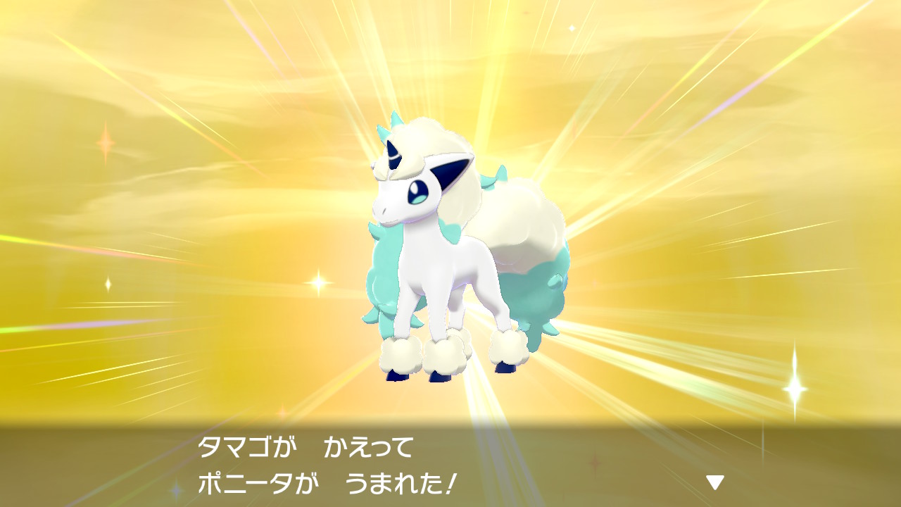 Kano 色違いガラルポニータ2体目 進化させないポニータも欲しかったので T Co Uu91bgl7ag Twitter