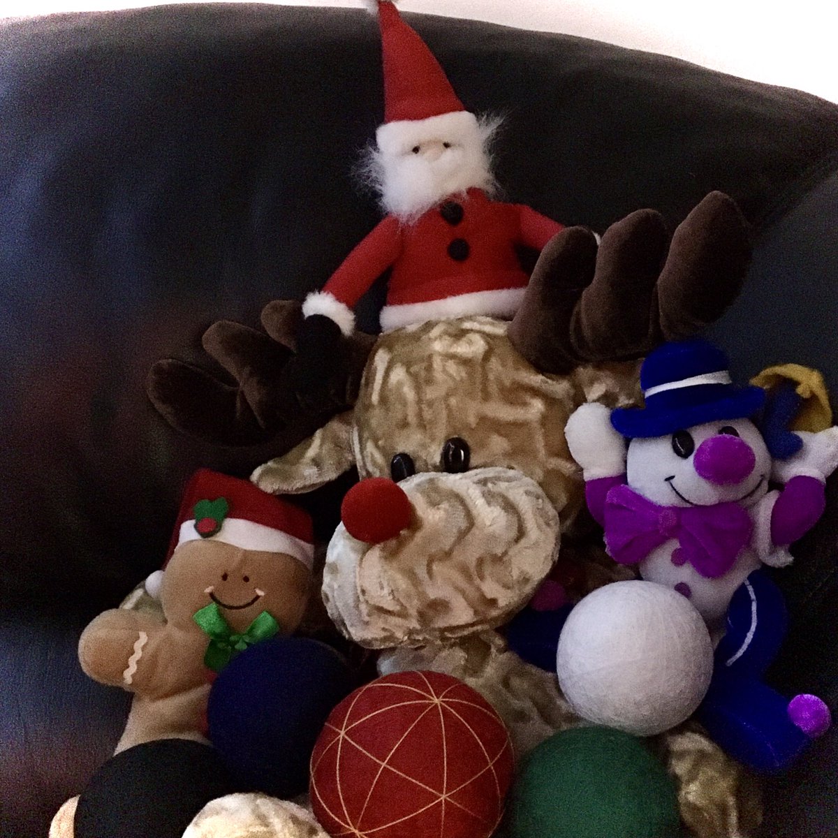 threadandpapers's tweet photo. Season’s Greeting!  Merry Christmas!  Wish you all a happy and safe holiday... from these “couch potatoes”. #Christmas2020 #Christmas https://t.co/CG85FIrPJK