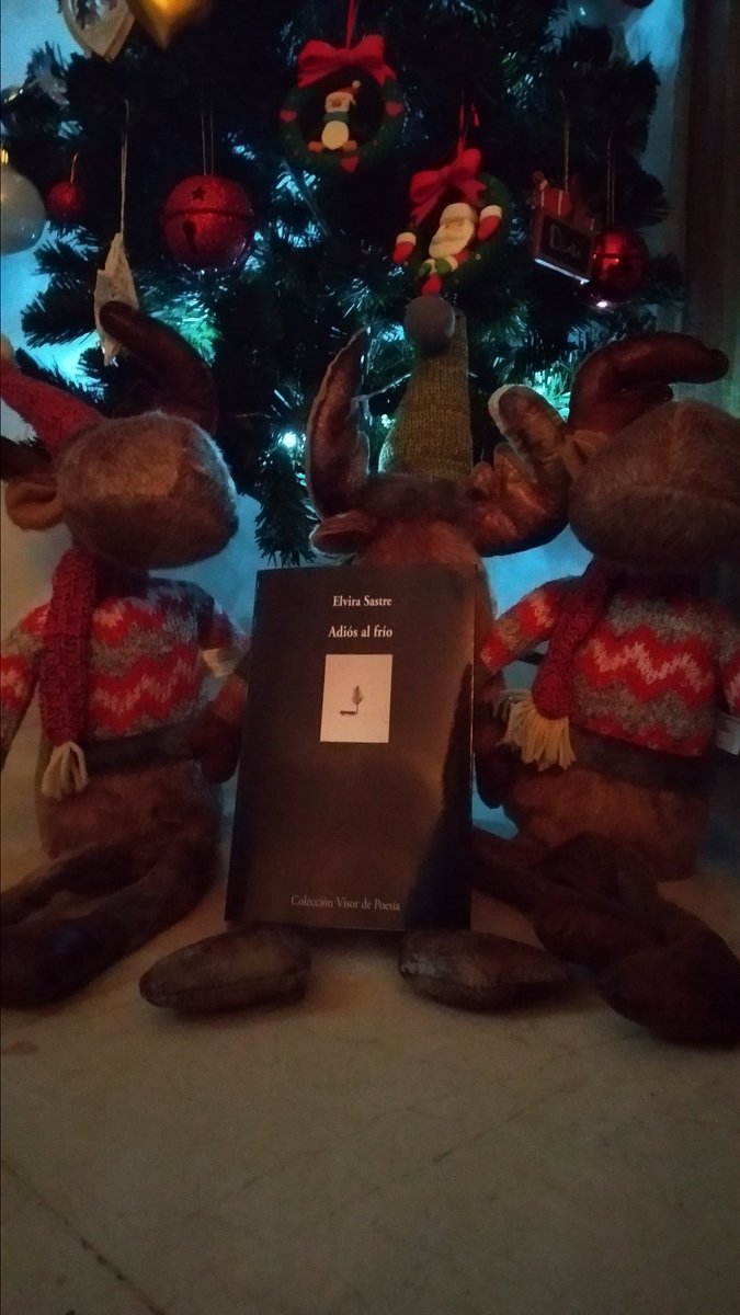 DyanaRios's tweet photo. Hoy mi papá Noel particular me ha regalado algo que llevaba mucho tiempo queriendo... ¡Te adoro mi bicho! 😍🥰❤️  #8CT #infinito 

@elvirasastre #AdiósAlFrío https://t.co/ZgmJ7tPrpK