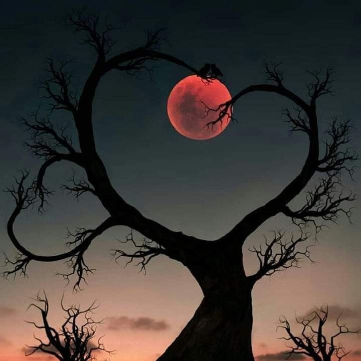 #صورة_ملف_شخصي_جديدة