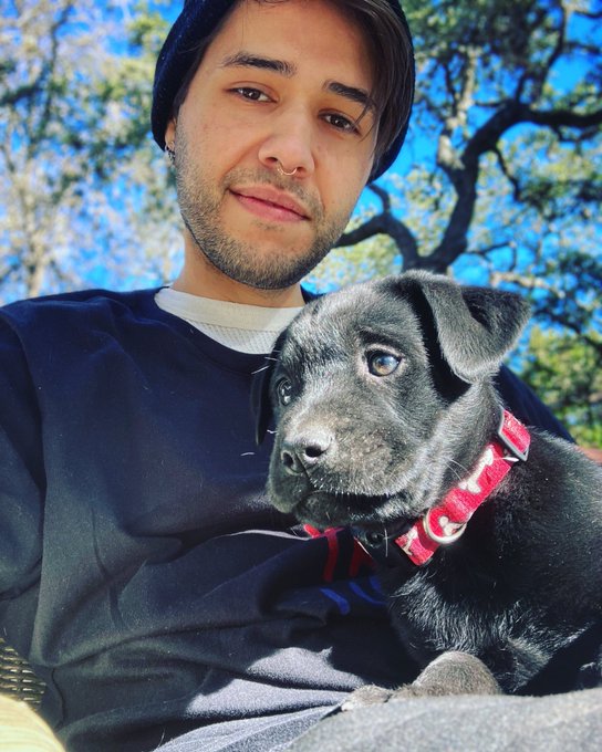 The Puppy Bowl came early this year. 🥰😍 https://t.co/6WlAhmNsBg<a href="/tag/mvsales"class="tags"><span>#mvsales</span></a><a href="/tag/mvboys"class="tags"><span>#mvboys</span></a>