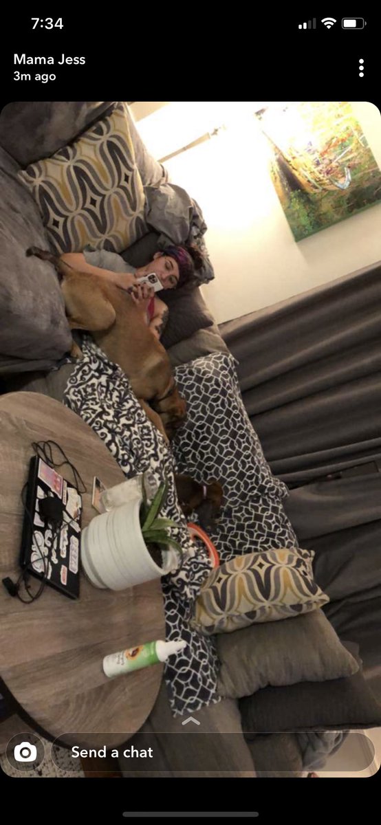 marieeezzy's tweet photo. 🚨PLEASE SHARE🚨 Marley has been missing since this morning. last seen in the back of Youngsville off of Austin road. please help get her home her sisters miss her:( https://t.co/mFgIUbfwy3