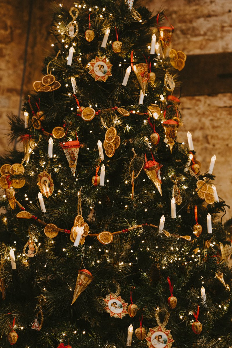 TheHawthorneArc's tweet photo. Accounts of #ChristmasTrees date back to 16th century Germany where they were decorated with fruits, nuts and candles. While their name suggests a #Christian beginning, #Pagans were celebrating trees at midwinter long before Christianity reached their shores.

#Yule #Folklore https://t.co/8gCENeFdFl